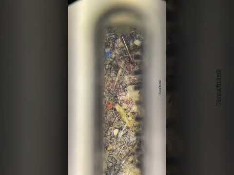 deep cleaning iphone