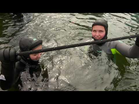 Duiken in de haven van Scheveningen | Noordzeevis uit Scheveningen
