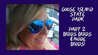 Goose Island State Park Part 2 Birds, Birds and More Birds - Full time Rving