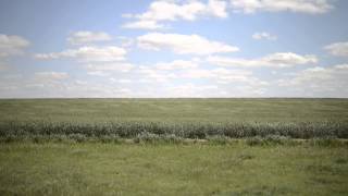 preview picture of video 'Iowa Park, TX Field'