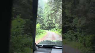 #roughroad #holler #therapy #mtbaker #wilderness #husky #dog