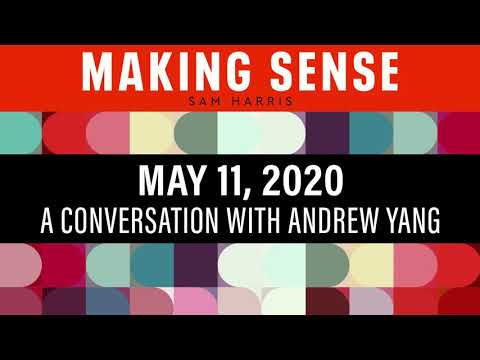 A Conversation with Andrew Yang (Episode #202)