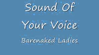 Sound Of Your Voice - Barenaked Ladies