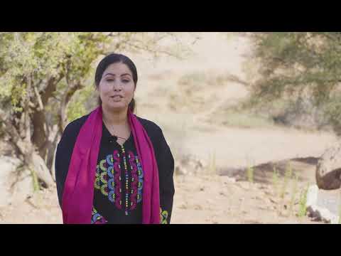 UNFPA soutient les femmes arganières face aux changements climatiques