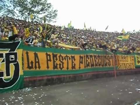 carnaval leopardo jamas  desciende