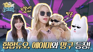 원밀리언 에이미♥망구, 힙한데 러블리한 둘 만의 케미🐶 | 왕구의 편집샵 EP.05