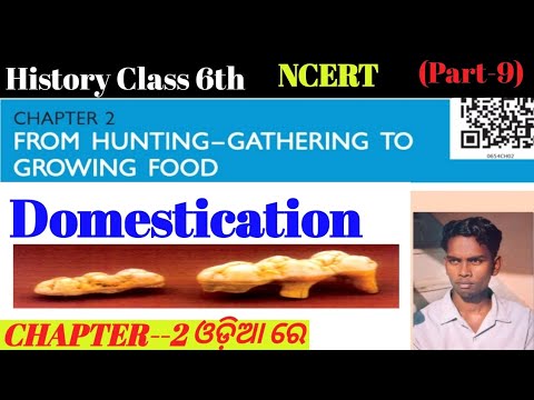 Domestication, What is domestication.?(Part-9)ଓଡି଼ଆ ରେ || Class-6 History Chapter-2,NCERT, CBSE,OAVS
