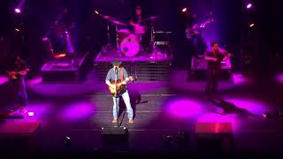 “Run Wild Horses”