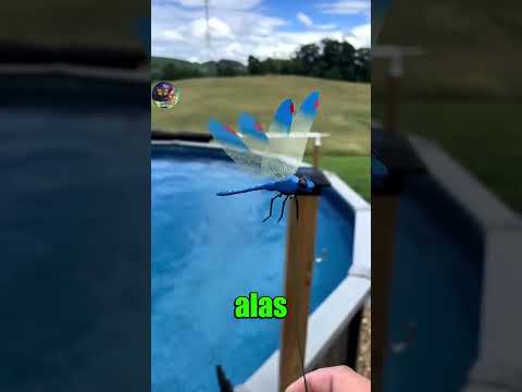 🪰🦟🪽 El espantamosquitos inspirado en una libélula #viral #curiosidades