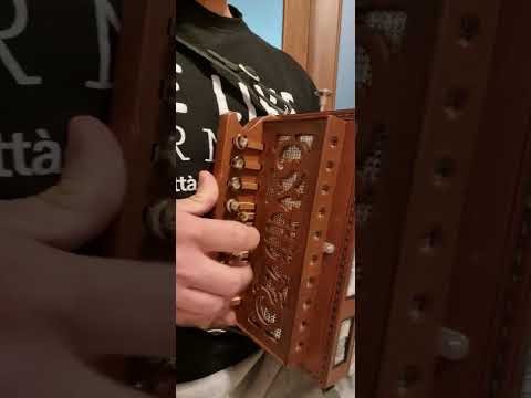 Tarantella Ravagnisota Organetto sol# Flautato