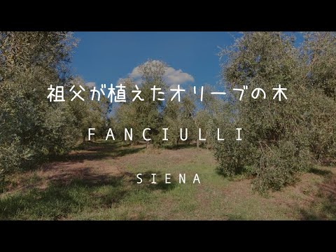 オリーブヤナギの家族