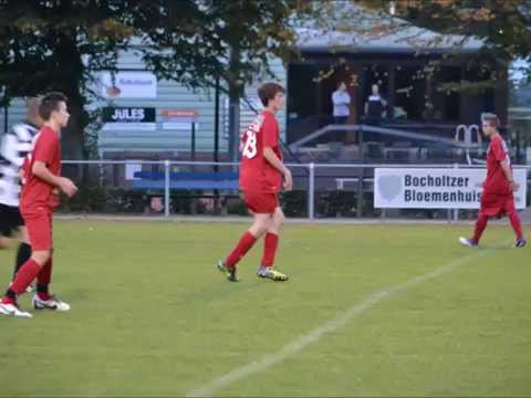 2013 RGLVC01B1   WDZ b1