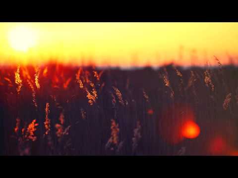 Westseven feat. Darren Ashley - Feeling (Extended Mix)