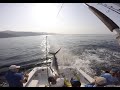 Black Marlin Jumps INTO Boat Almost TAKING OUT DECKHAND AND ANGLER