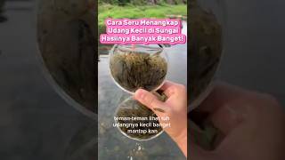 Download lagu Cara Seru Menangkap Udang Kecil Di Sungai Hasilnya  Banyak Banget!#mancingudang #udangsungai #fyp mp3