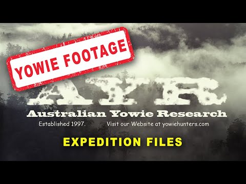 AYR Yowie Footage - Shot in the Gold Coast Hinterland 4th of April 2021