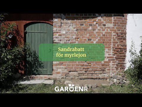 Sandrabatt för Myrlejon - Trädgårdshacks med GardenR