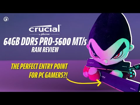 Crucial Pro DDR5 - 5600 64GB RAM Kit Review &amp; Giveaway! | Gossip.GG