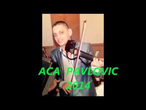 ACA  PAVLOVIC 2014