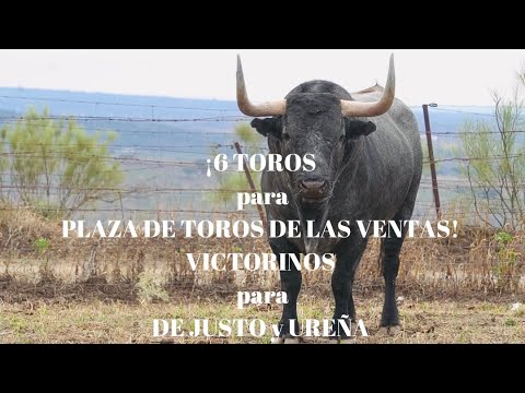 🛑MENUDO CARTEL…¡VICTORINOS para PLAZA DE TOROS DE LAS VENTAS DE MADRID!Mano a Mano DE JUSTO y UREÑA