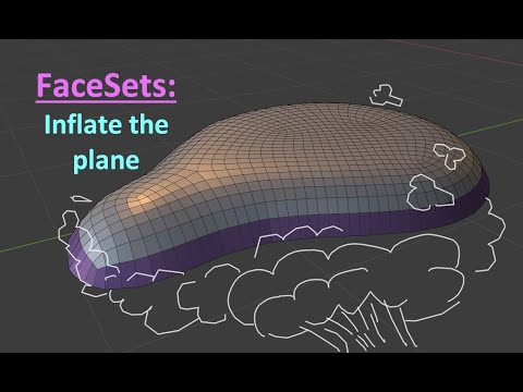 Blender - FaceSets.  'Inflate the plane'