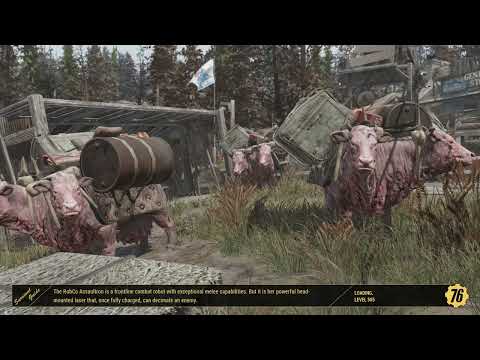 Fallout 76: Resetting item spawns. The 255 rule for players and server explained.