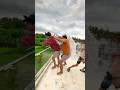 Prank Fail Balon Shorts Frostdiamond