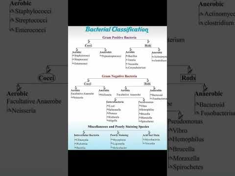 Bacterial Classification Gram positive and Negative #microbiology #medicalstudent #paramedical #mlt