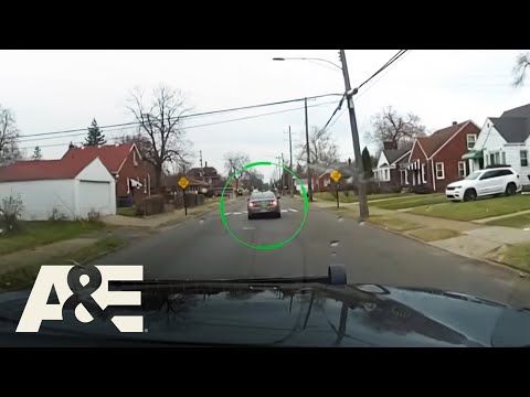 Traffic Stop Escalates After Driver Refuses to Exit Vehicle | Fugitives Caught on Tape | A&E