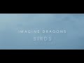 [AMV] Imagine Dragons - Birds [Sub. Español / Lyrics Inglés] [Video]