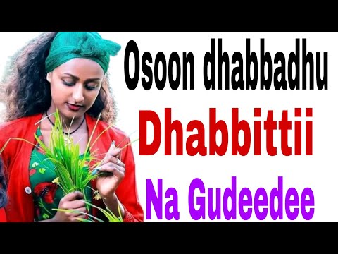 Osoo Dhabbadhuu dhabbittii na Gudeedee qabamee