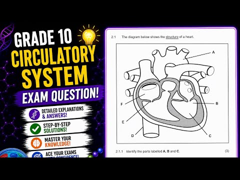 Grade 10 Circulatory system Exam Question| Transport System in Animals| Heart and Blood vessels|