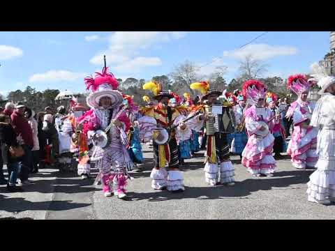 Philadelphia Mummers String Bands Perform at Mummers Mardi Gras