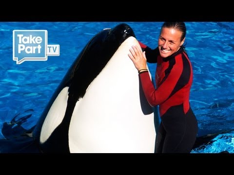 DEATH AT SEAWORLD｜ジェシカ・ワイルダーに聞く｜ザ・コーブ｜TakePart TV (DEATH AT SEAWORLD | EYEWITNESS INTERVIEW with Jessica Wilder | The Cove | TakePart TV)