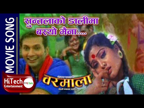 Suntalako Dali Ma Basyo Maina | Nepali Movie Baramala Song | Nikhil Upreti | Rekha Thapa