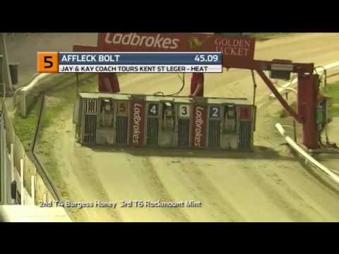 2019 KENT ST LEGER - HEAT 6 - T5 AFFLECK BOLT