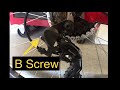Shimano Tourney Rear Derailleur B screw Adjustment - does it work?