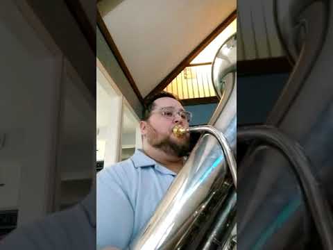 Parallels by Aron Romhanyi (I.Allegro Opening segment)