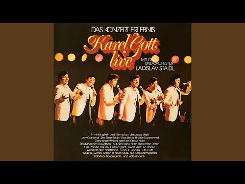 Du warst ein Liebestraum für mich (Live At CCH, Hamburg / 1980)