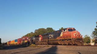 Canadian National 2259 leading westbound intermodal through Prescott, Ontario. September 16, 2025.