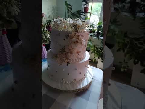 25 октября 2024 г.