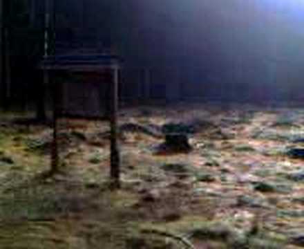 Stempelstelle 157 Kapellenfleck - Harzer Wandernadel