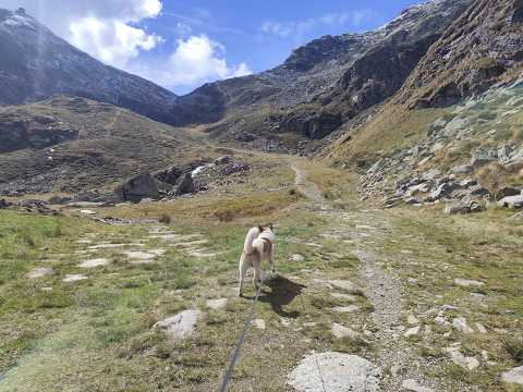 Escursione ad anello da Oropa ai rifugi Rosazza e Savoia, Laghi del Mucrone e delle Bose 28_09_2025