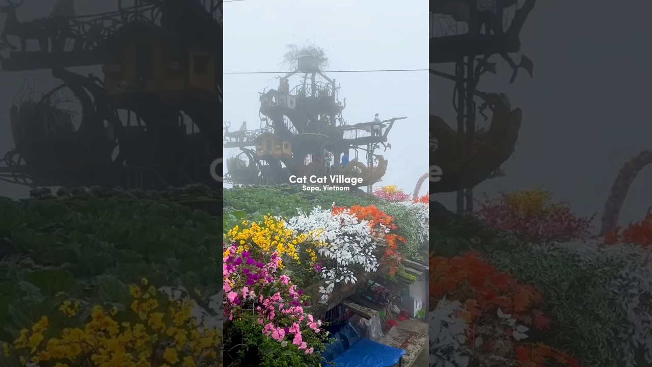 YouTube Short thumbnail