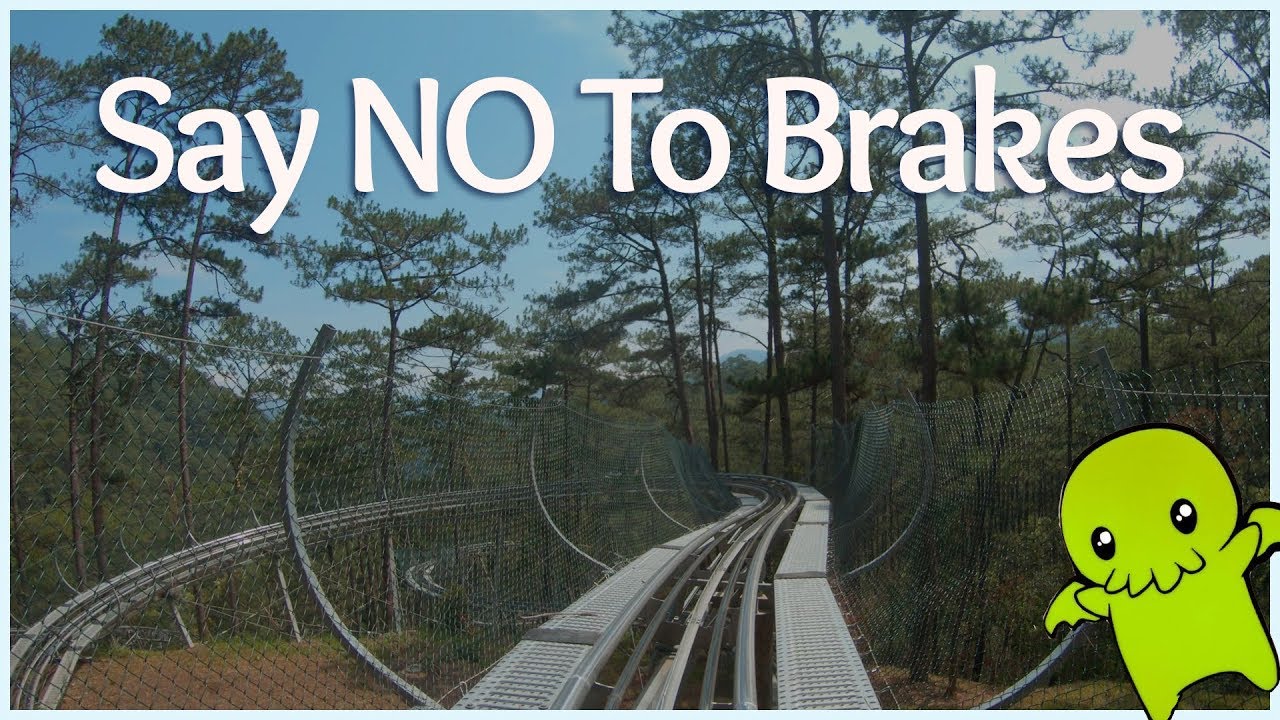 Đà Lạt High Ropes Course combines breathtaking nature with heart-racing challenges, creating an unforgettable outdoor experience.