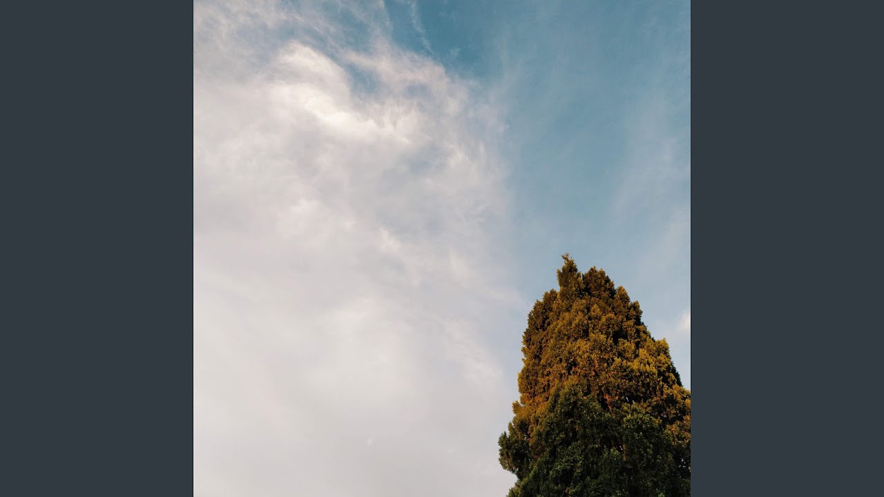 Meditation Guide
