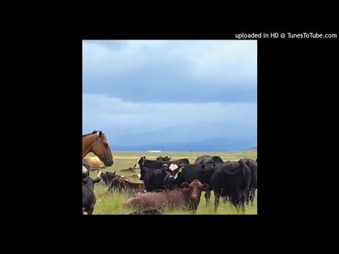 osquinn - mbn (Must Be Nice)