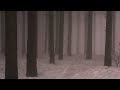 Music To Make Your Brain Shut Up