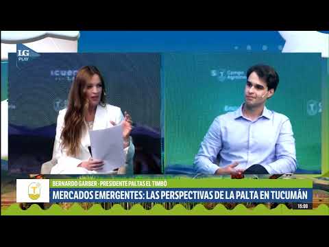 Palta Tucumana: ¿Por Qué Tenía MALA FAMA? La Historia de Éxito de Paltas El Timbó