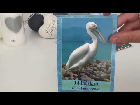 Orakel | Tagesorakel | Kartenlegung | Botschaft für den 13.07.2020